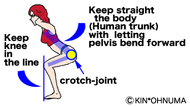 Crotch-joint